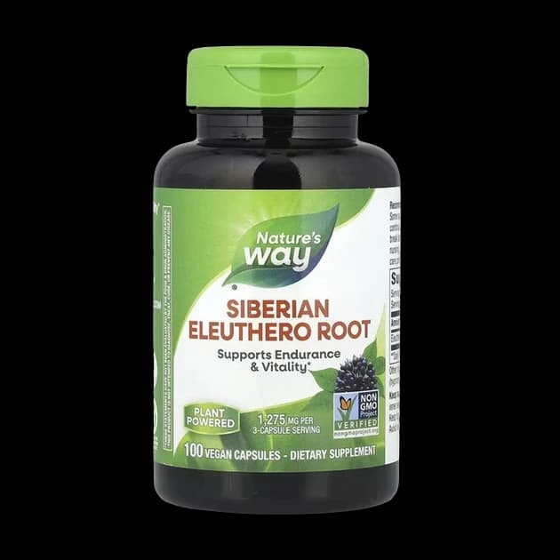 Siberian eleuthero root