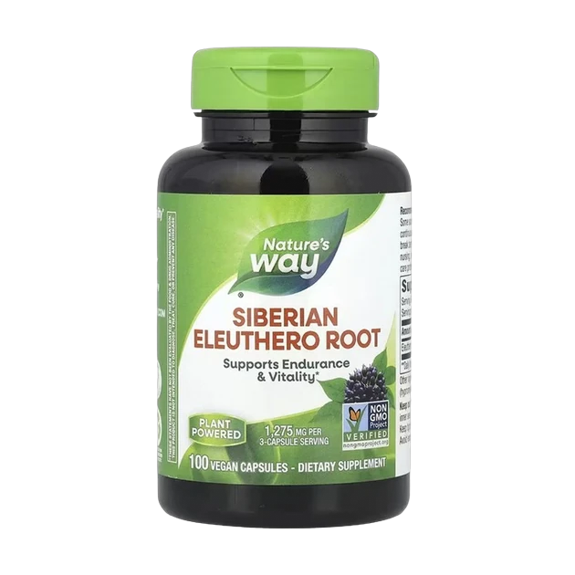 Siberian eleuthero root